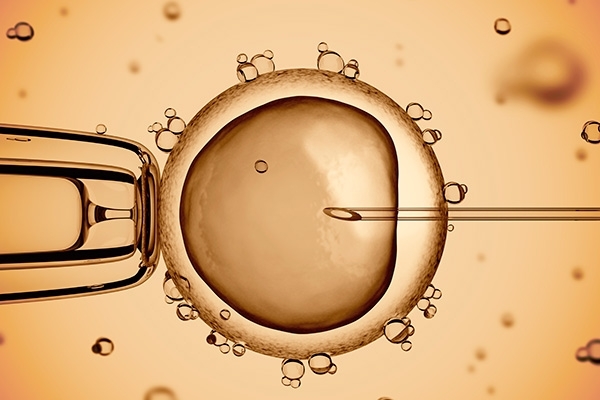 Ефективні технології сучасної репродуктології в лікуванні всіх форм жіночого безпліддя. 