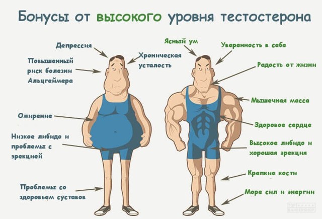 Відсутність бажання у чоловіків: причини і лікування, методики відновлення лібідо