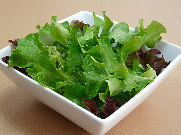 Шкода і користь латуку, склад салату, сфери його застосування.