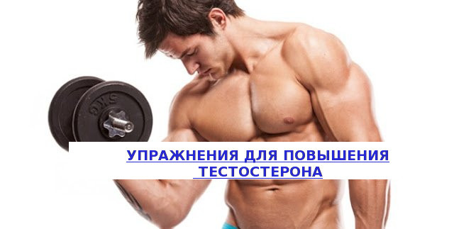 Вправи для підвищення тестостерону і підняття вироблення у чоловіків