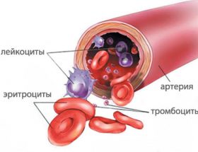 Чому знижений гемоглобін і утворився тромб