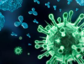 Що таке імунітет (immunitas): як його зміцнити і підвищити стійкість до мікробів