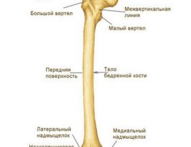 Патологічний перелом стегнової кістки: провокуючі фактори, клінічна картина, методи обстеження та лікування