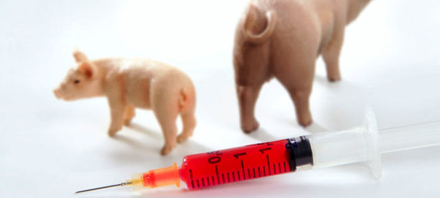 Як лікувати свинячий грип | ОкейДок