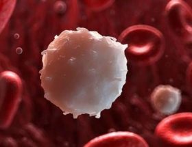 Низький рівень лейкоцитів у крові: причини, симптоми і лікування