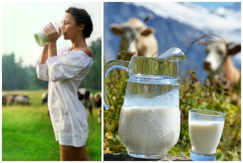 Користь і шкода молока, харчова цінність і хімічний склад молока