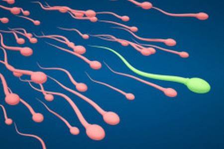 Некрозооспермія: чи можна завагітніти, причини і лікування захворювання