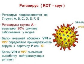 Може ротавірус передатися від дитини батькам за один день?