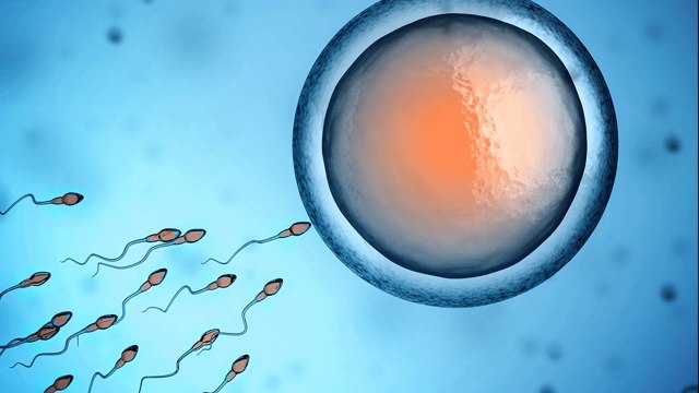 Астенозооспермія - лікування, причини, ймовірність вагітності при астенозооспермії