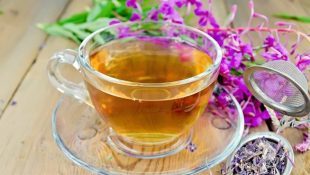 Як приймати Іван-чай при простатиті: показання та способи застосування Іван-чаю при лікування простатиту