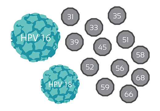 Може вірус папіломи 16 типу викликати герпес?