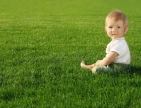 Купання дитини в травах: користь і шкода для організму, кращі рецепти, правила безпеки