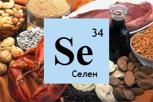 Основні функції селену в організмі людини, селен в продуктах харчування