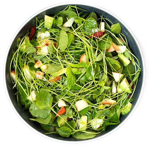 Кресс-салат: користь і шкода, склад крес-салату, харчова цінність, корисні властивості
