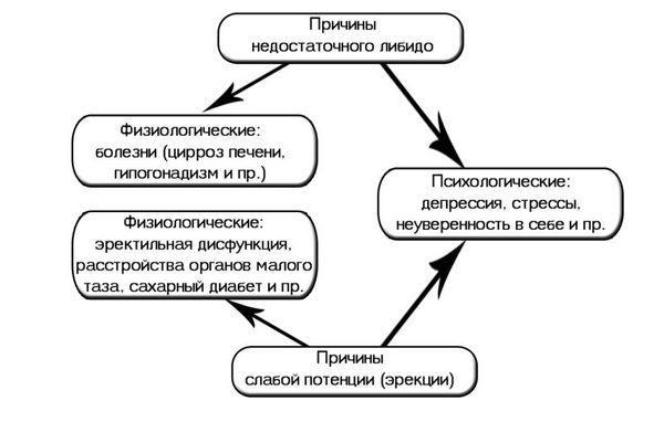 Відсутність бажання у чоловіків: причини і лікування, методики відновлення лібідо