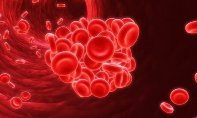 Чому гематокрит знижений при вагітності або підвищений, його норма в крові