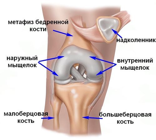 Дегенеративні зміни менісків колінного суглоба: симптоми і лікування