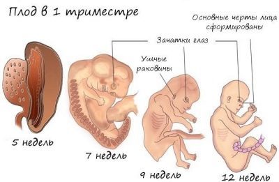 Амоксицилін: інструкція із застосування дорослим, дітям і при вагітності