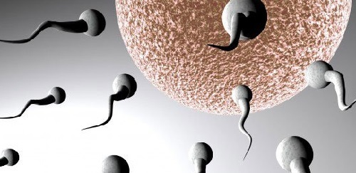 Азооспермія - лікування, причини, вагітність при азооспермії