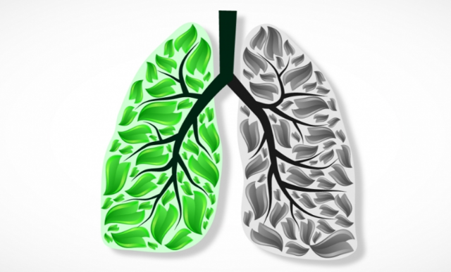 Лікування раку легенів і правила харчування при раку легенів, методи профілактики раку легенів