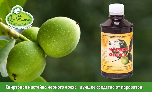 Користь чорного горіха, хімічний склад плодів і листя, використання в медицині, можливу шкоду від настоянки