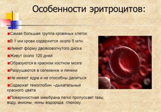 Чому бувають підвищені еритроцити в крові у дитини або дорослого
