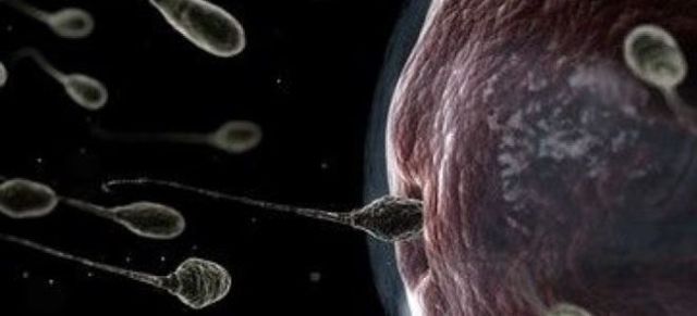 Рухливість сперматозоїдів: норми і порушення, що впливає і як збільшити рухливість