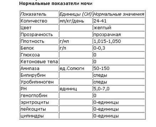 Загальний аналіз сечі у дитини: норма і розшифровка результатів, підготовка, як здавати