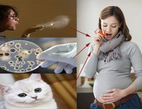 Бронхіальна астма при вагітності: фактори ризику, вплив на плід, особливості лікування