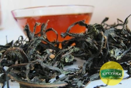 Іван-чай: відомості про лікарську рослину, показання та протипоказання до застосування