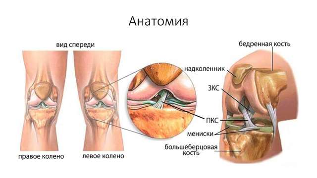 МРТ колінного суглоба: що показує, як проходить, плюси і мінуси