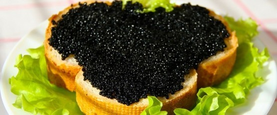 Чорна ікра - користь і шкода, харчова цінність, хімічний склад, правила вибору чорної ікри.