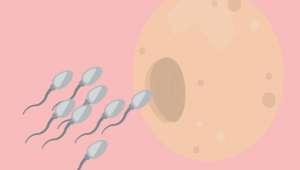 Способи контрацепції для жінок: бар'єрний метод запобігання, внутрішньоматкова спіраль, протизаплідні гормональні засоби, жіноча стерилізація.