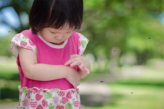 Як захистити дитину від укусів комарів: народні засоби для дітей до року і старше