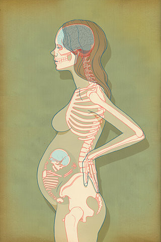 Рентген при вагітності на ранніх і пізніх термінах: вплив променів, наслідки для дитини, рекомендації по обстеженню