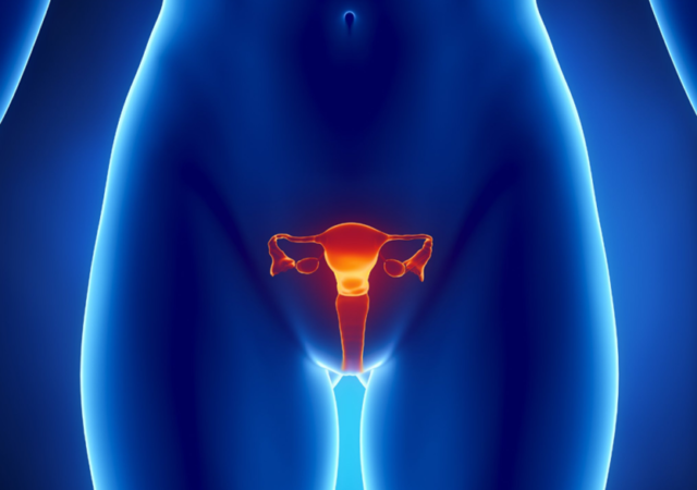 Гарднерелла у чоловіків: лікування gardnerella vagin і симптоми гарднерели вагіналіс