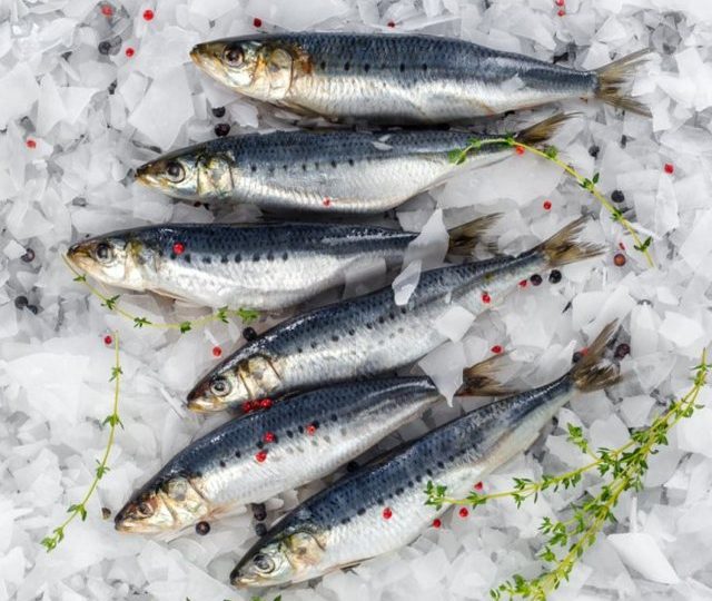 Сардина: склад, користь і шкода для організму, рецепти з консервованою рибою