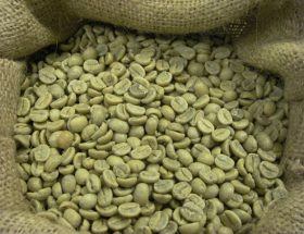 Зелена кава для схуднення: ефективність, корисні властивості і протипоказання до вживання, відгуки покупців