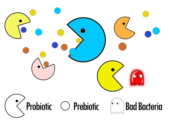 Прибуток і антибіотики: сумісність, як приймати одночасно і правильно?