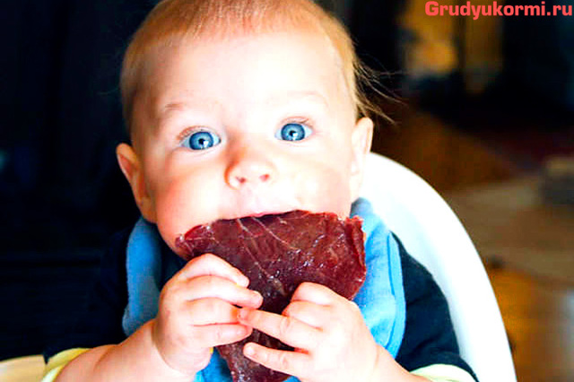Як вводити м'ясо в прикорм дитини: коли вводити м'ясо, з якого м'яса починати прикорм дитині