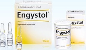 Енгістол: інструкція із застосування таблеток, показання та аналоги