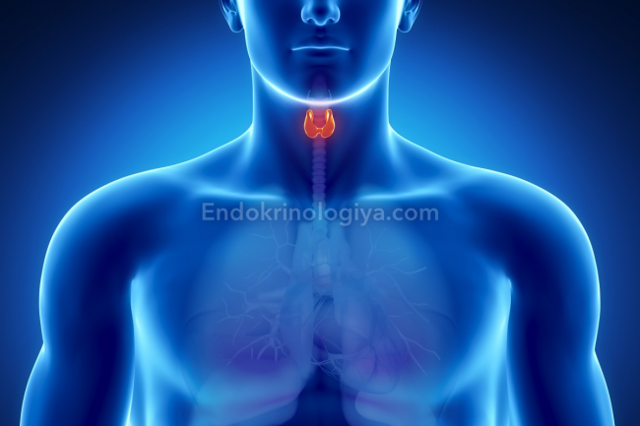 Кістозно-солідну освіту щитовидної залози: симптоми і лікування