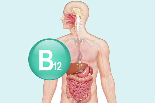 Вітамін Б12 і веганство - для чого потрібен вітамін Б12, норми споживання вітаміну b12, ознаки його дефіциту