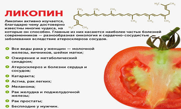 Корисні властивості томатів, хімічний склад і харчова цінність, шкода і протипоказання