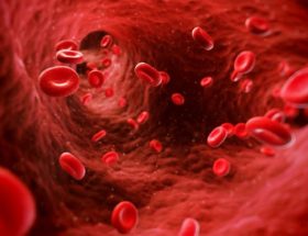 Чому бувають знижені еритроцити в крові: причини їх низького рівня