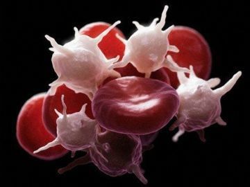 Норма тромбоцитів у дітей в крові: рівень показника у дитини