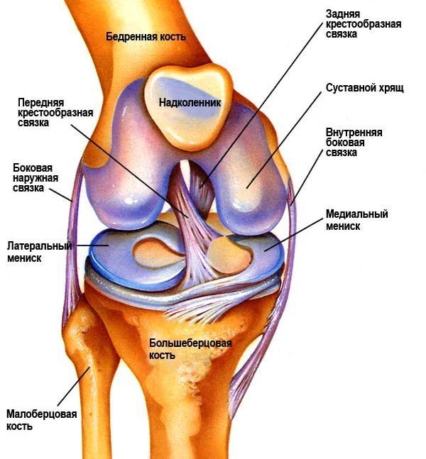 Вивих колінного суглоба: симптоми і лікування, причини, види патології