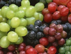 Виноград: склад і корисні властивості, протипоказання до вживання, умови зберігання