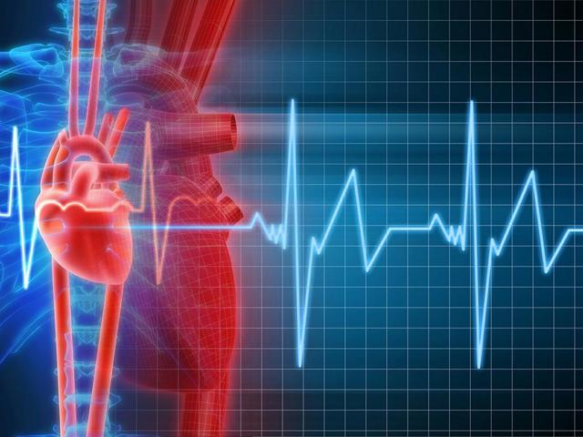 Аритмія серця: симптоми і лікування, види аритмій, лікування аритмії народними засобами