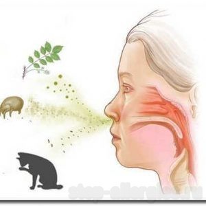 Алергічний риніт: симптоми і лікування, ускладнення алергічного риніту і поради алергікам
